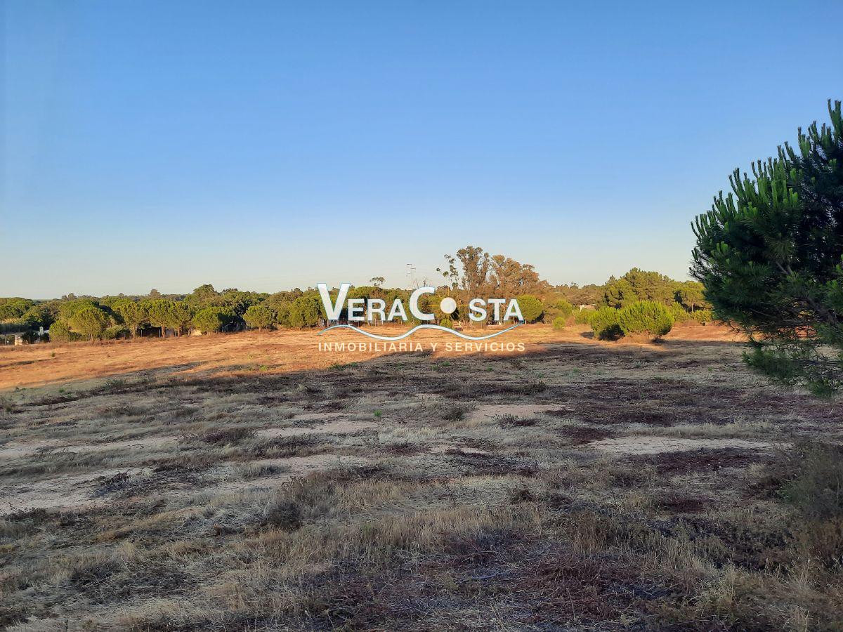 Venta de finca rústica en Villablanca