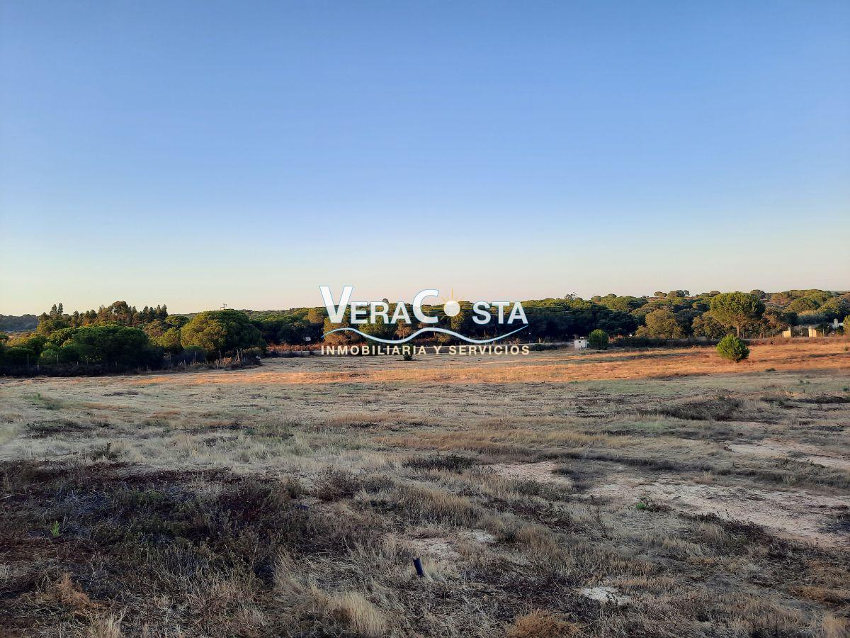 For sale of rural property in Villablanca