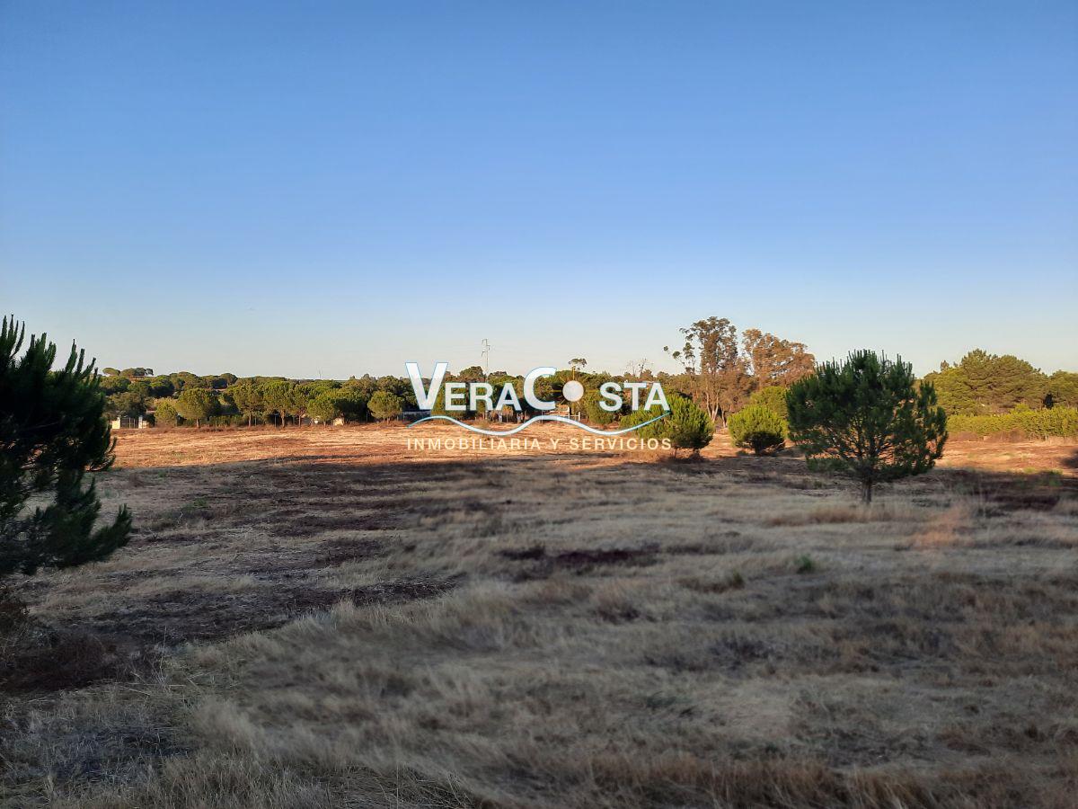 For sale of rural property in Villablanca