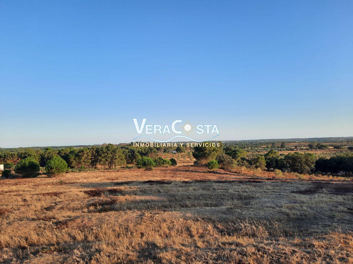 For sale of rural property in Villablanca