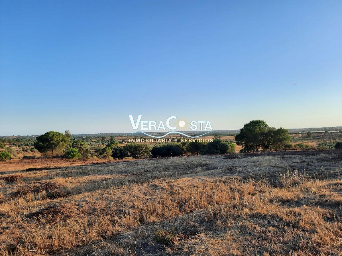 For sale of rural property in Villablanca