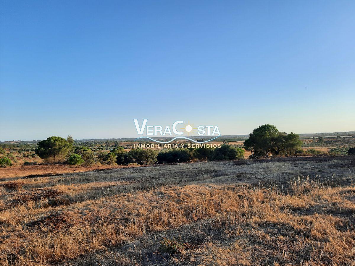 Venta de finca rústica en Villablanca