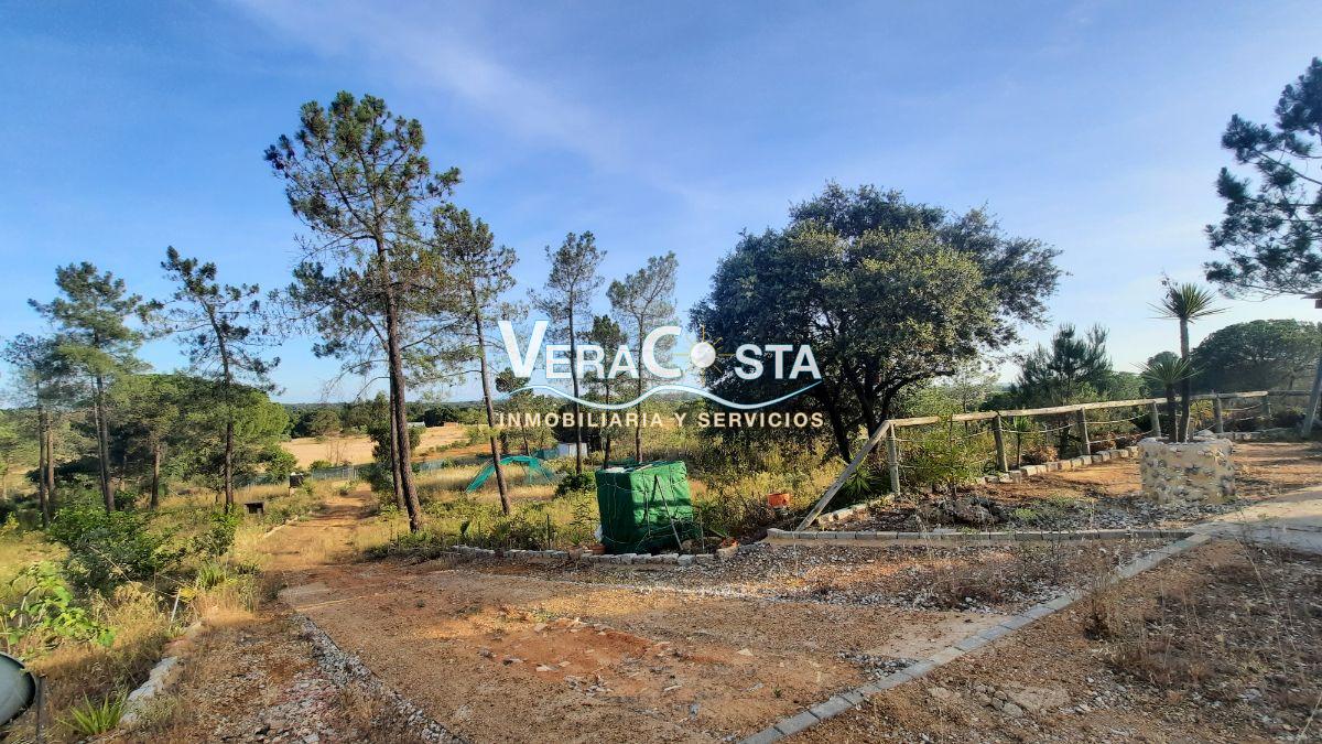 Venta de finca rústica en Villablanca