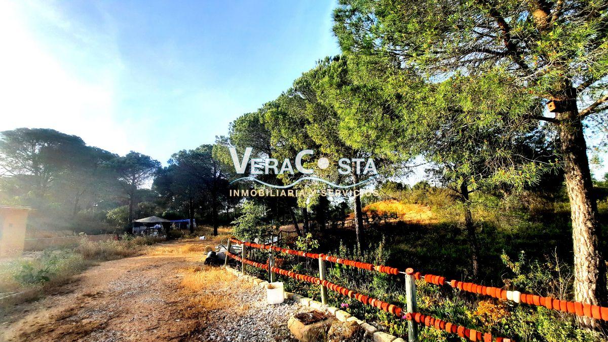 Venta de finca rústica en Villablanca