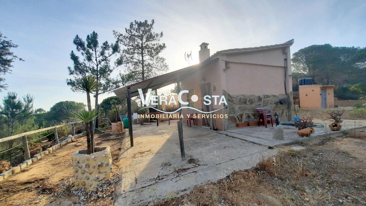 Venta de finca rústica en Villablanca