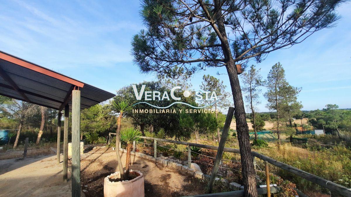 Venta de finca rústica en Villablanca