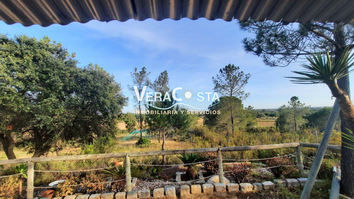 For sale of rural property in Villablanca