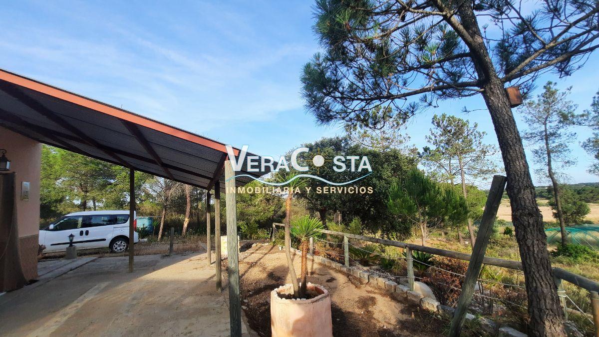 Venta de finca rústica en Villablanca