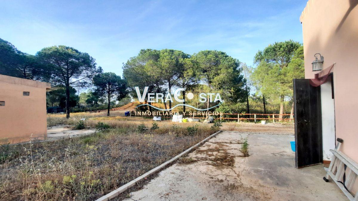 Venta de finca rústica en Villablanca