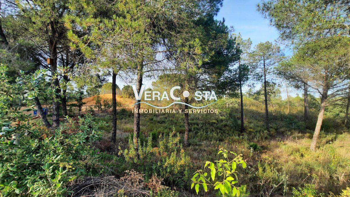 For sale of land in Villablanca