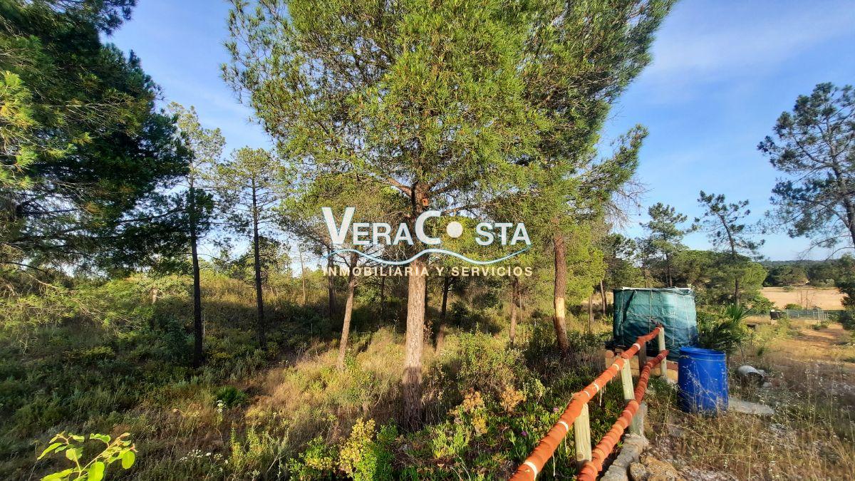 For sale of land in Villablanca