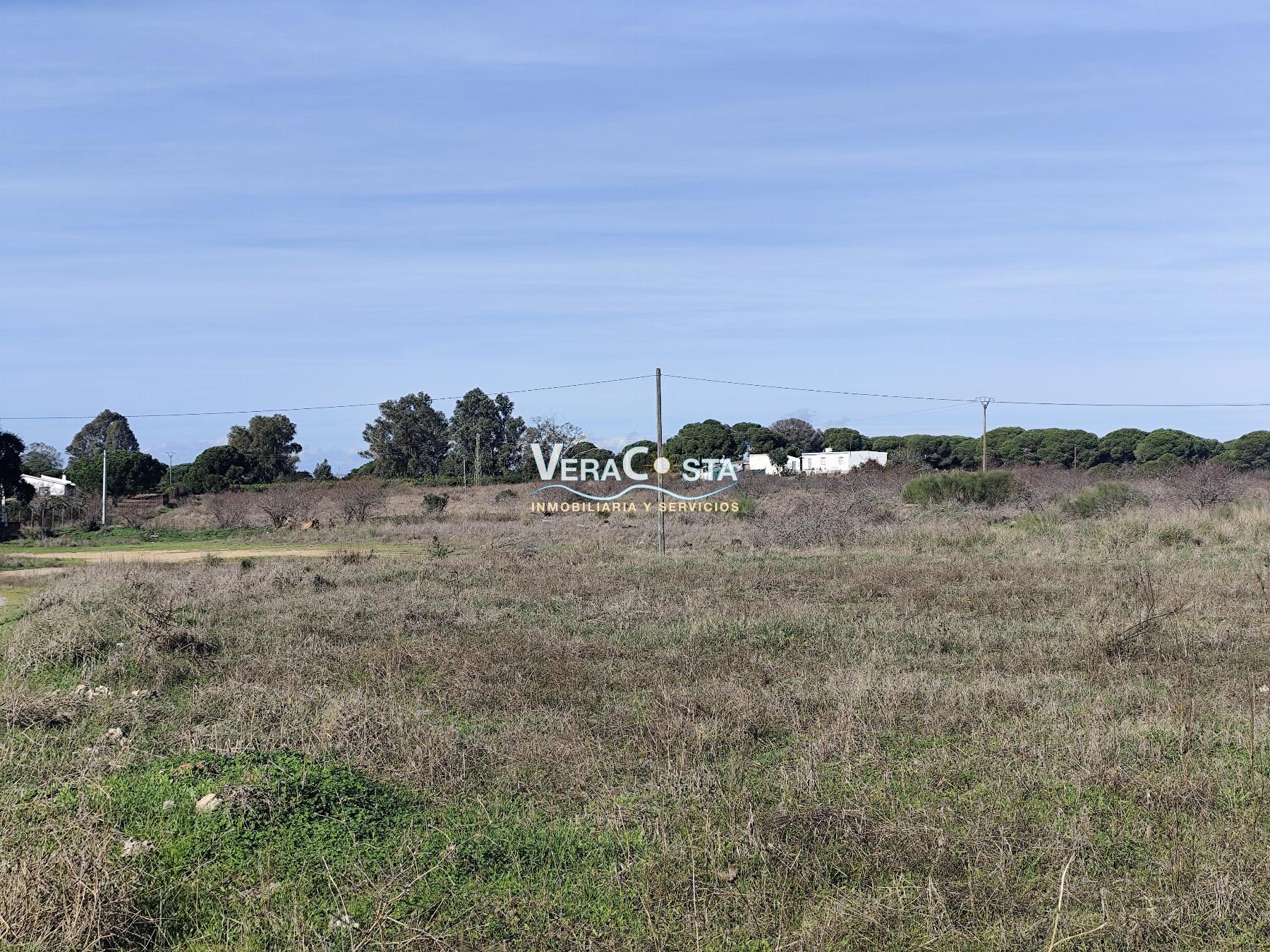 Venta de finca de recreo en Isla Cristina