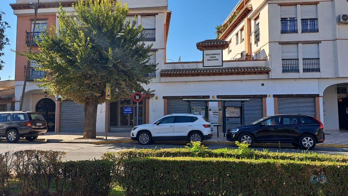For sale of commercial in Albolote