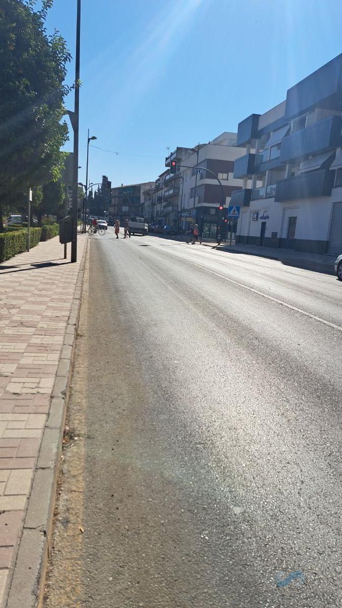 For sale of commercial in Albolote