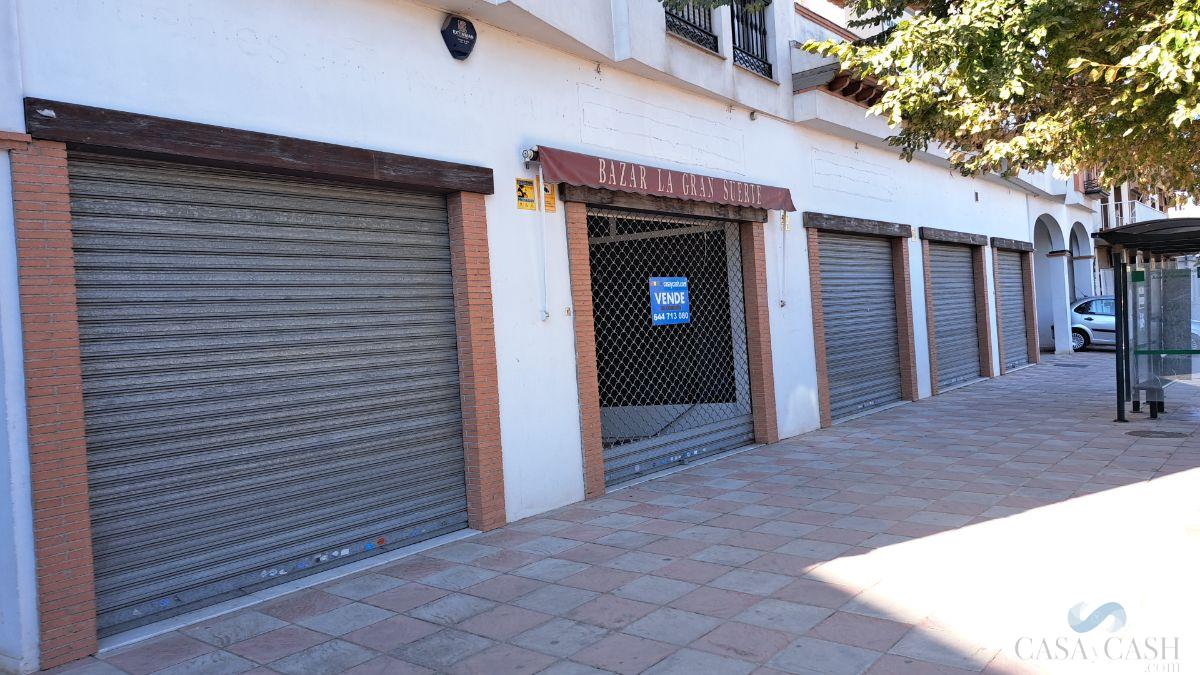 For sale of commercial in Albolote