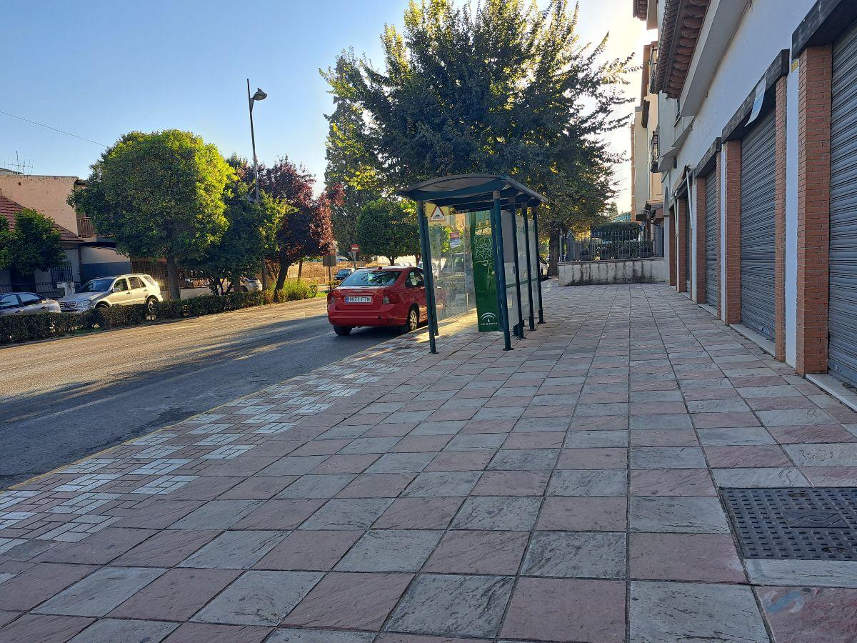For sale of commercial in Albolote