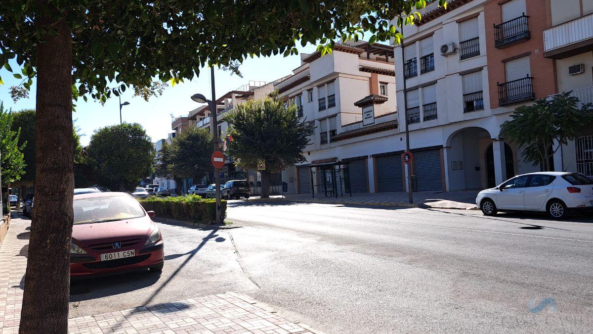 For sale of commercial in Albolote