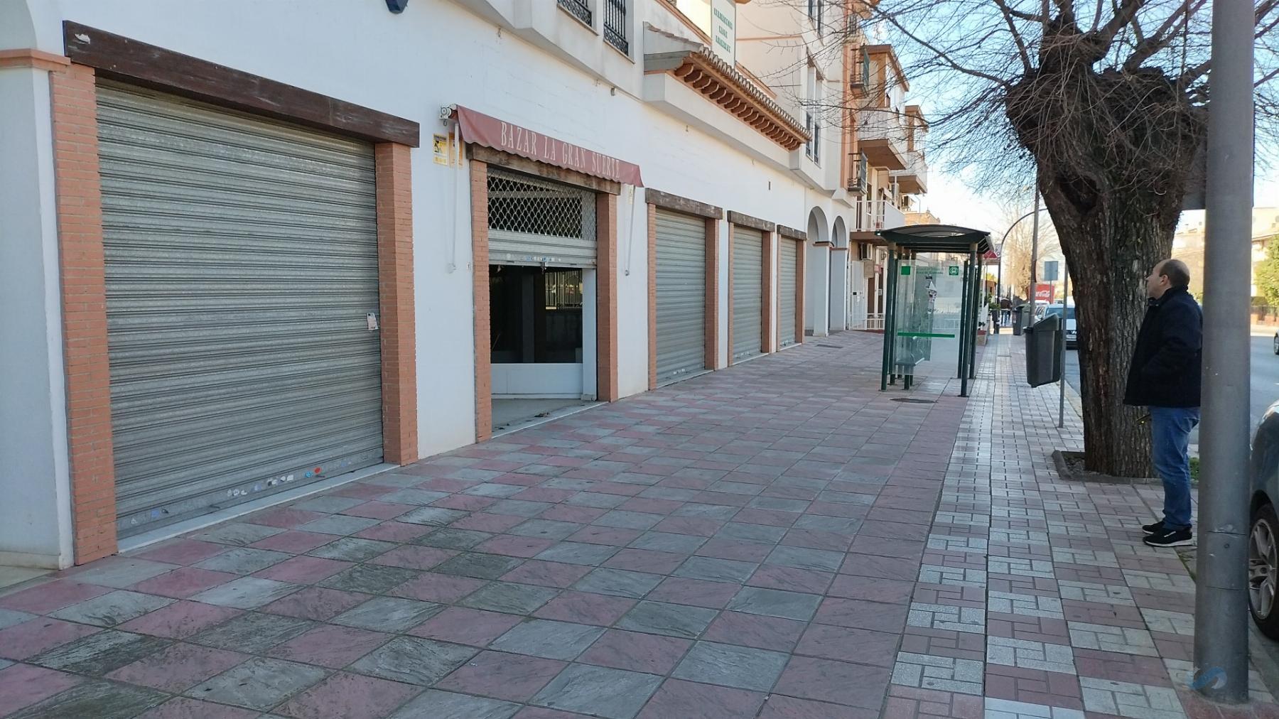 For sale of commercial in Albolote