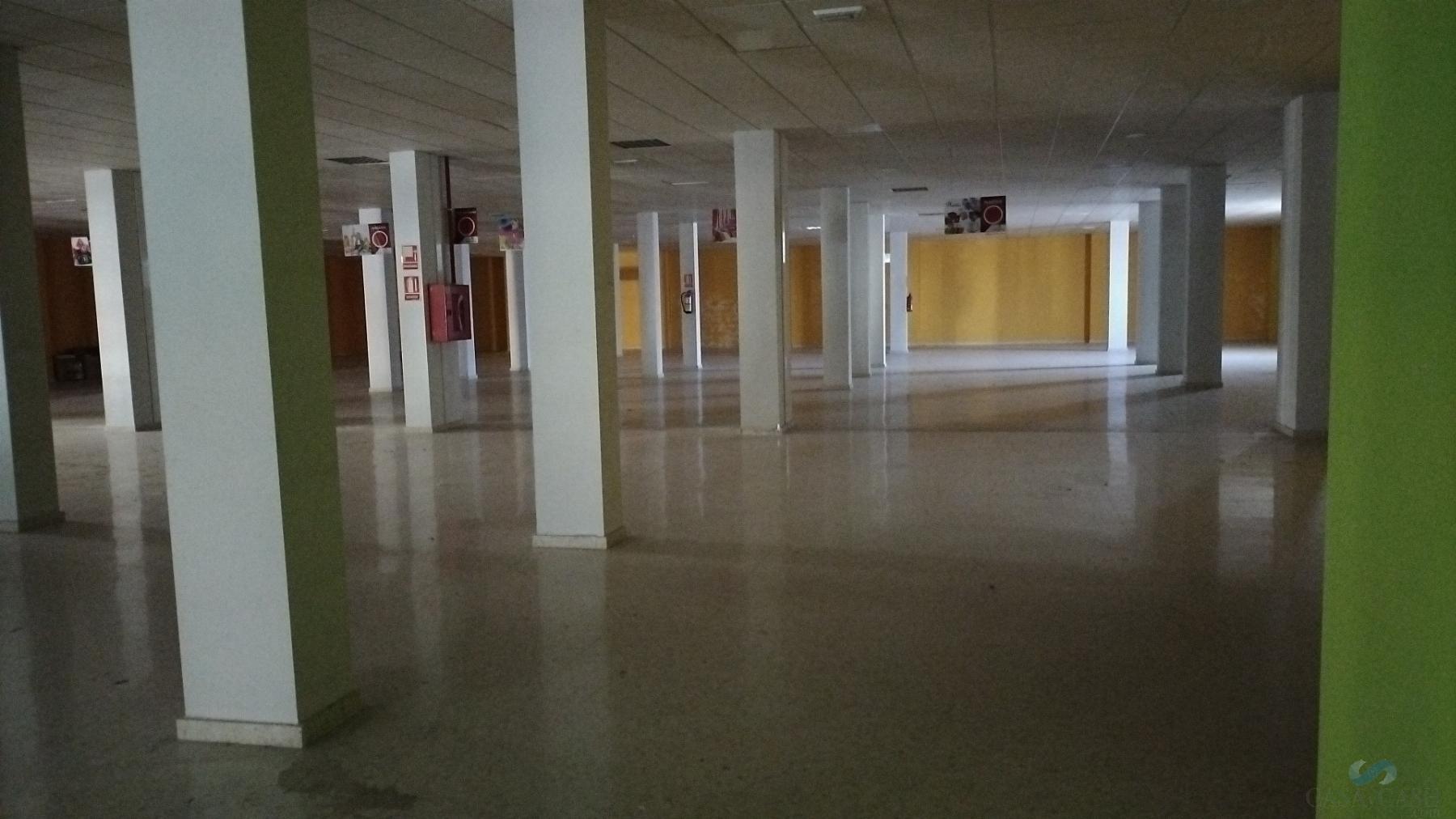 For sale of commercial in Albolote
