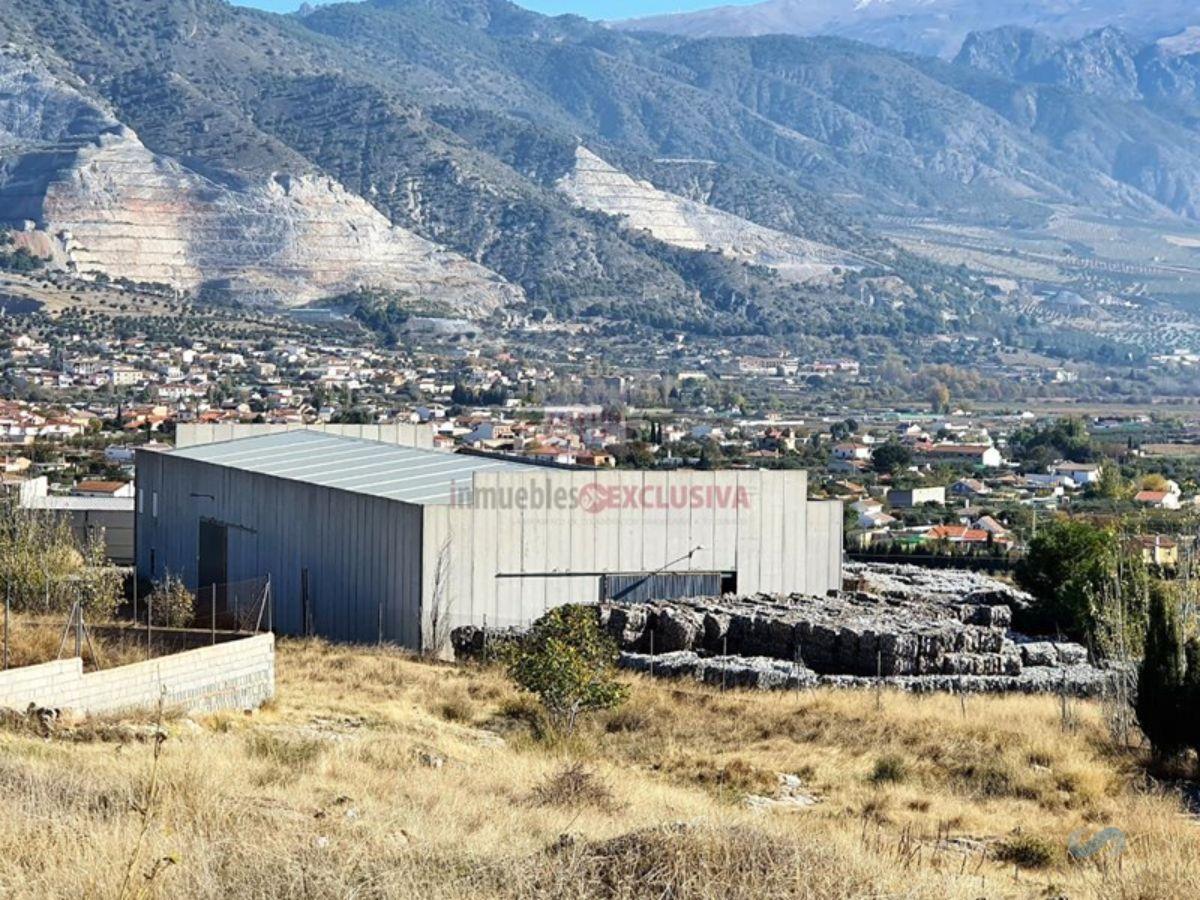 Venda de nau industrial a Padul