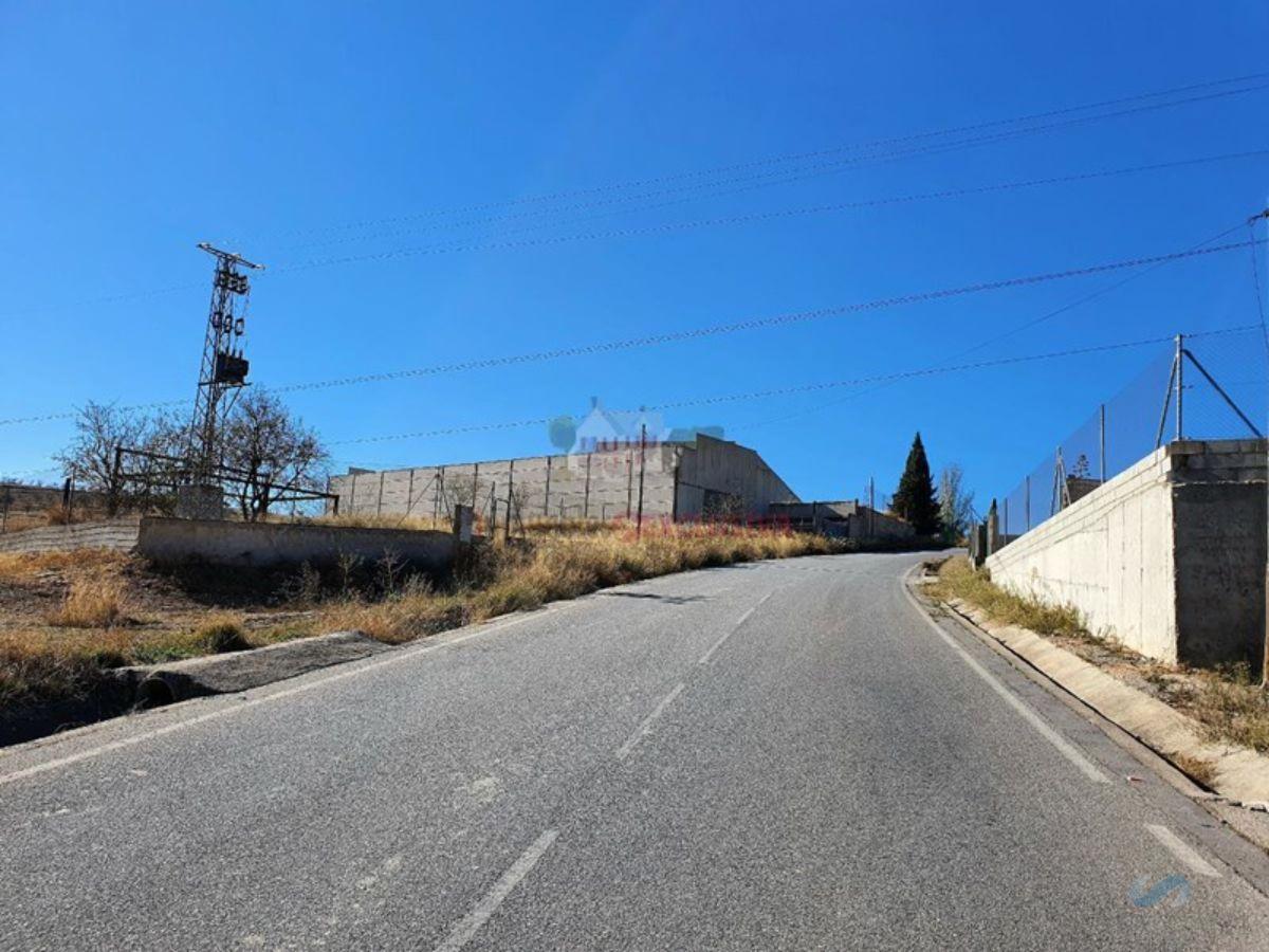 Venda de nau industrial a Padul