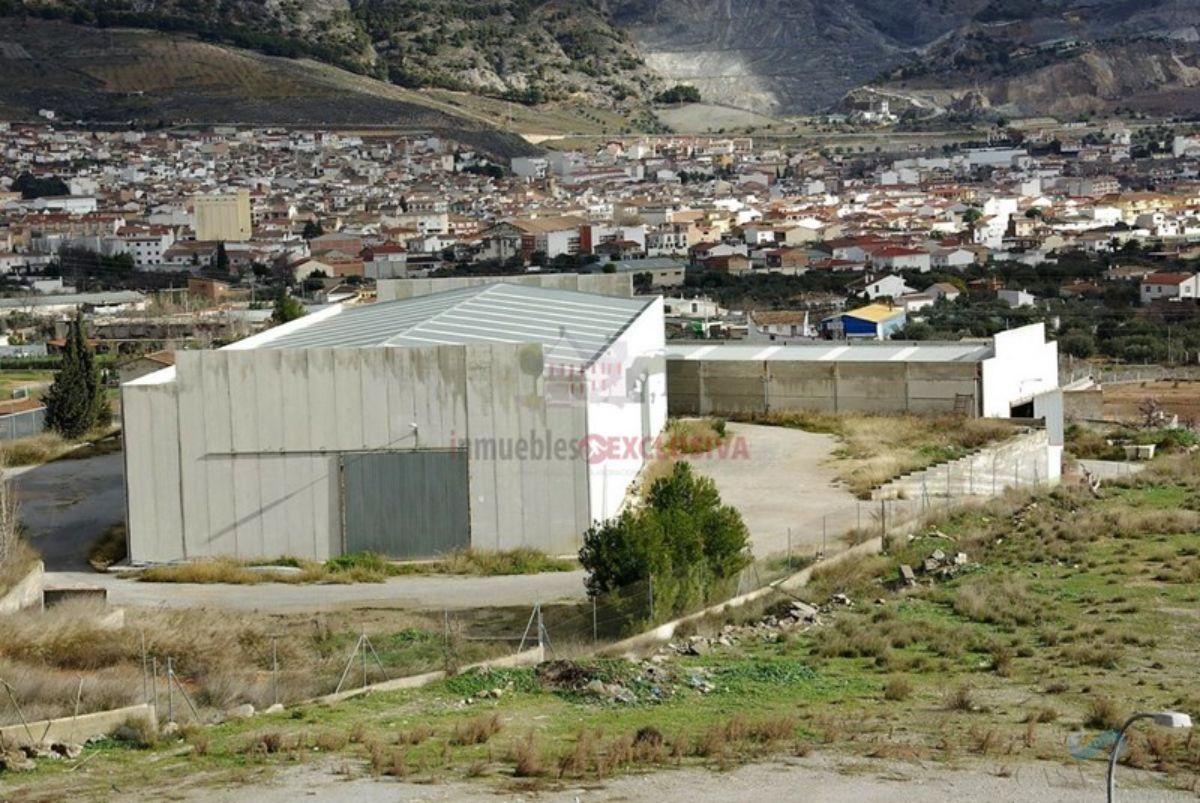 Venda de nau industrial a Padul