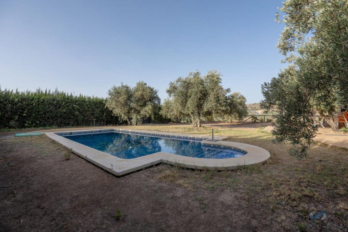 For sale of rural property in Moraleda de Zafayona