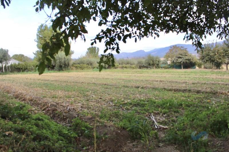 Venta de finca rústica en Otura