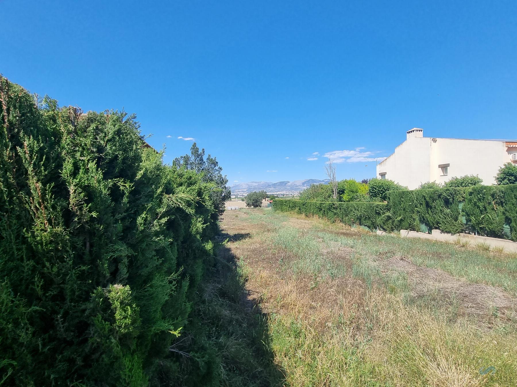 De vânzare din teren în Cúllar Vega