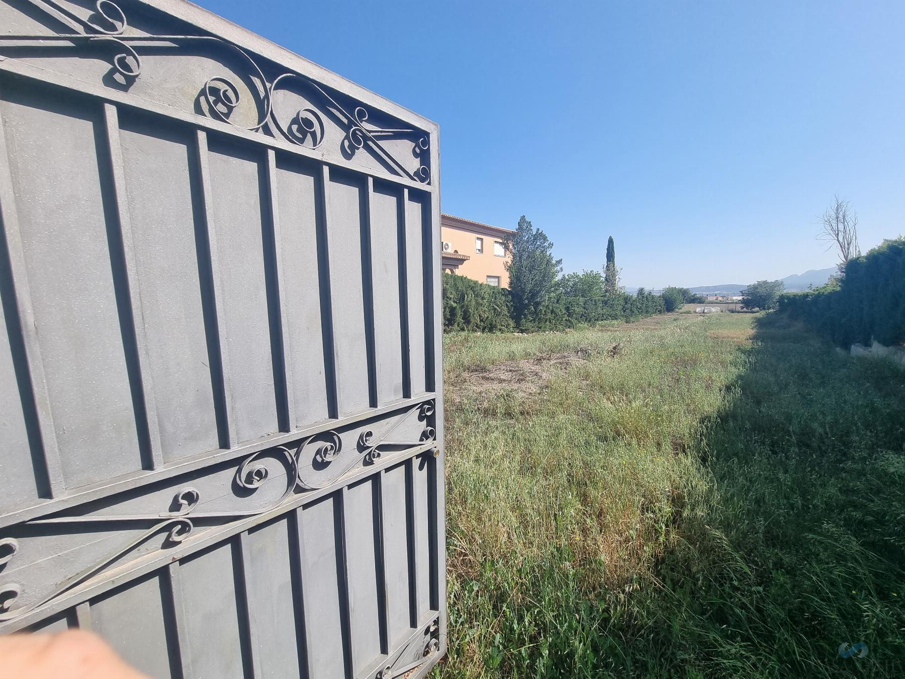 De vânzare din teren în Cúllar Vega