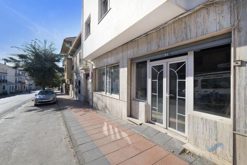 De vânzare din spații comerciale în Padul