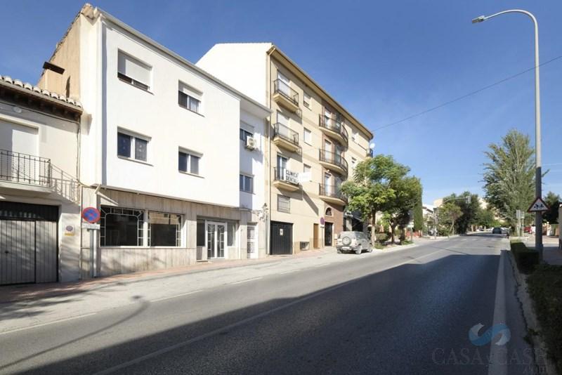 De vânzare din spații comerciale în Padul