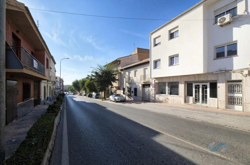 De vânzare din spații comerciale în Padul