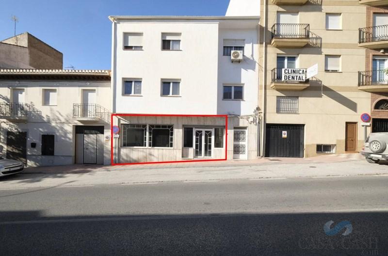 De vânzare din spații comerciale în Padul