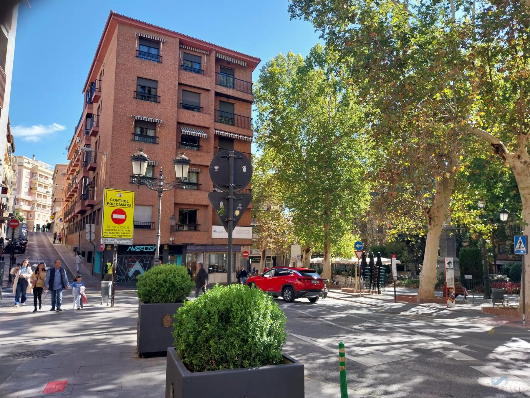 De vânzare din spații comerciale în Granada