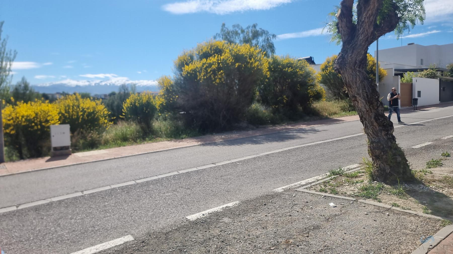 For sale of land in Las Gabias