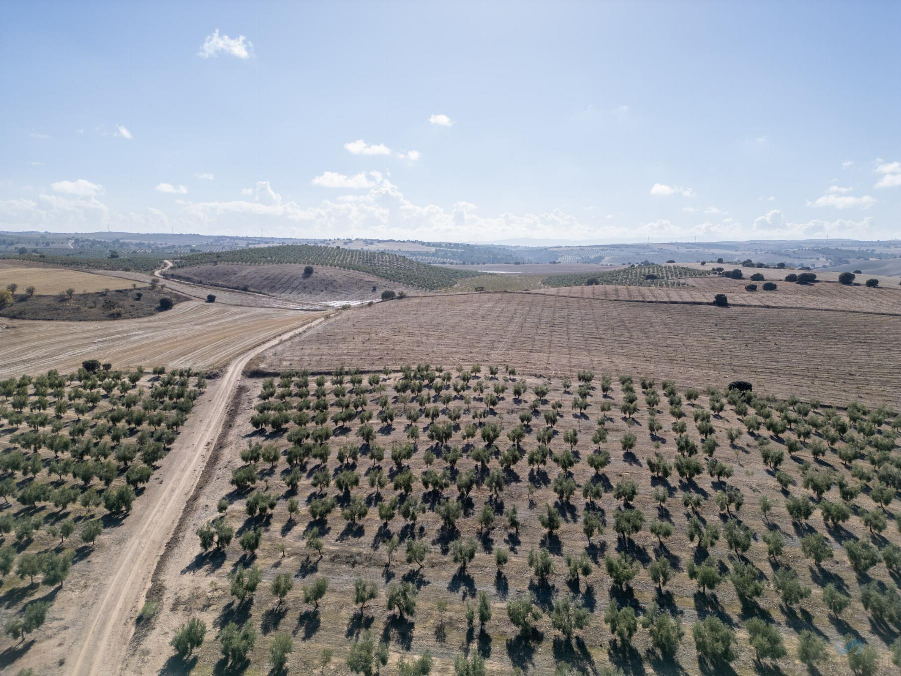 For sale of rural property in Alamedilla