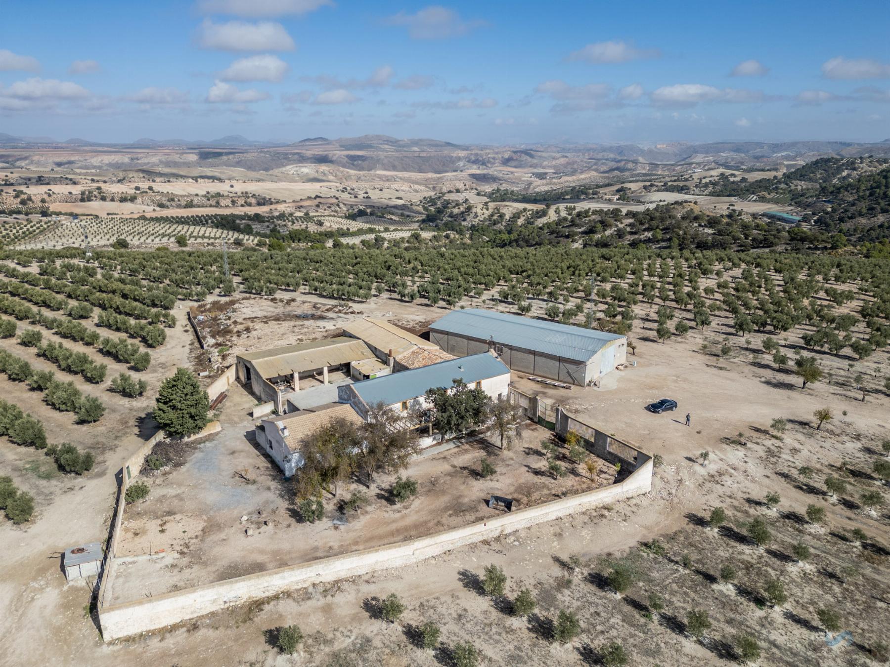 For sale of rural property in Alamedilla