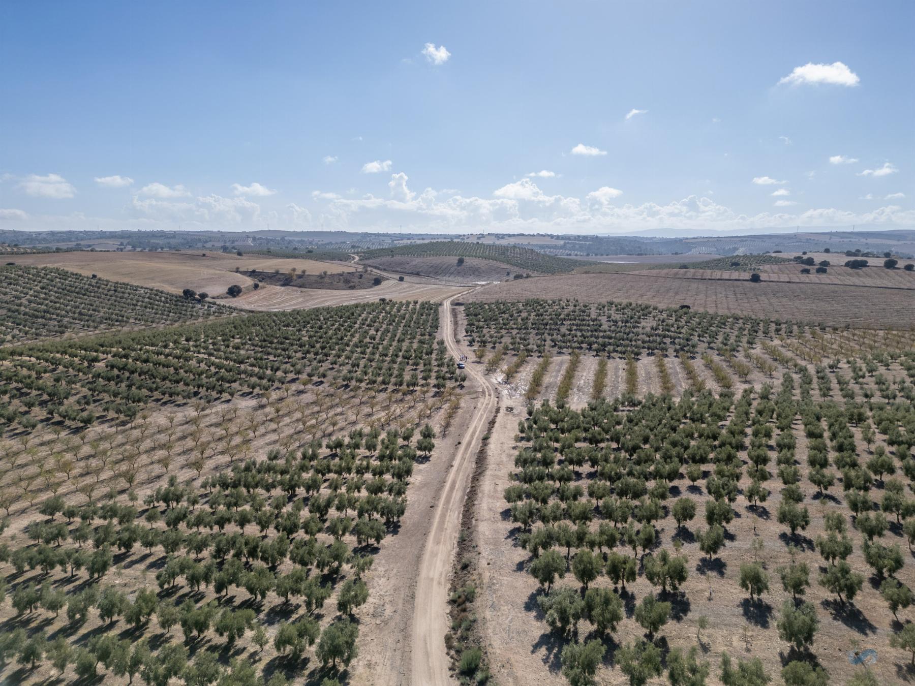 For sale of rural property in Alamedilla