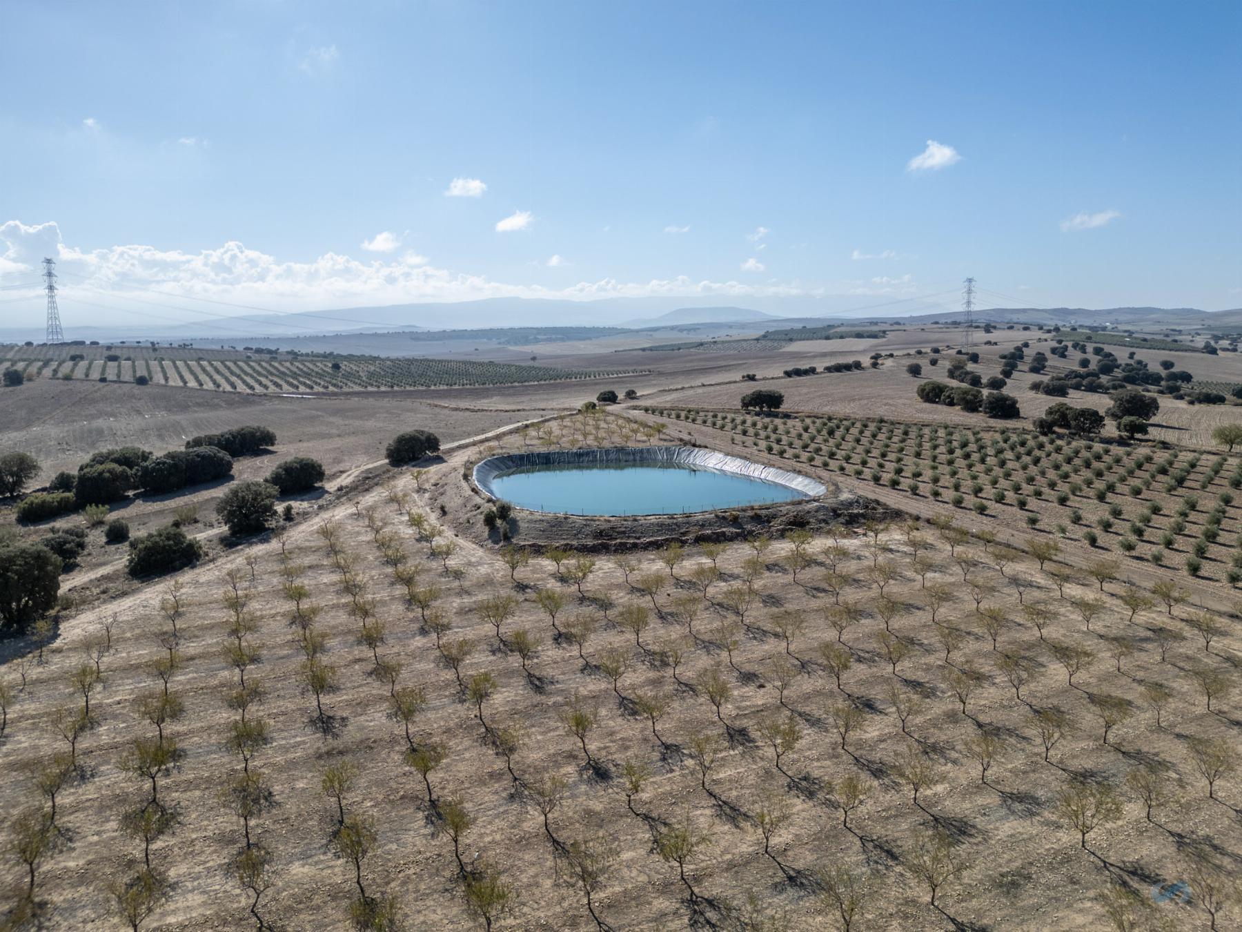 For sale of rural property in Alamedilla