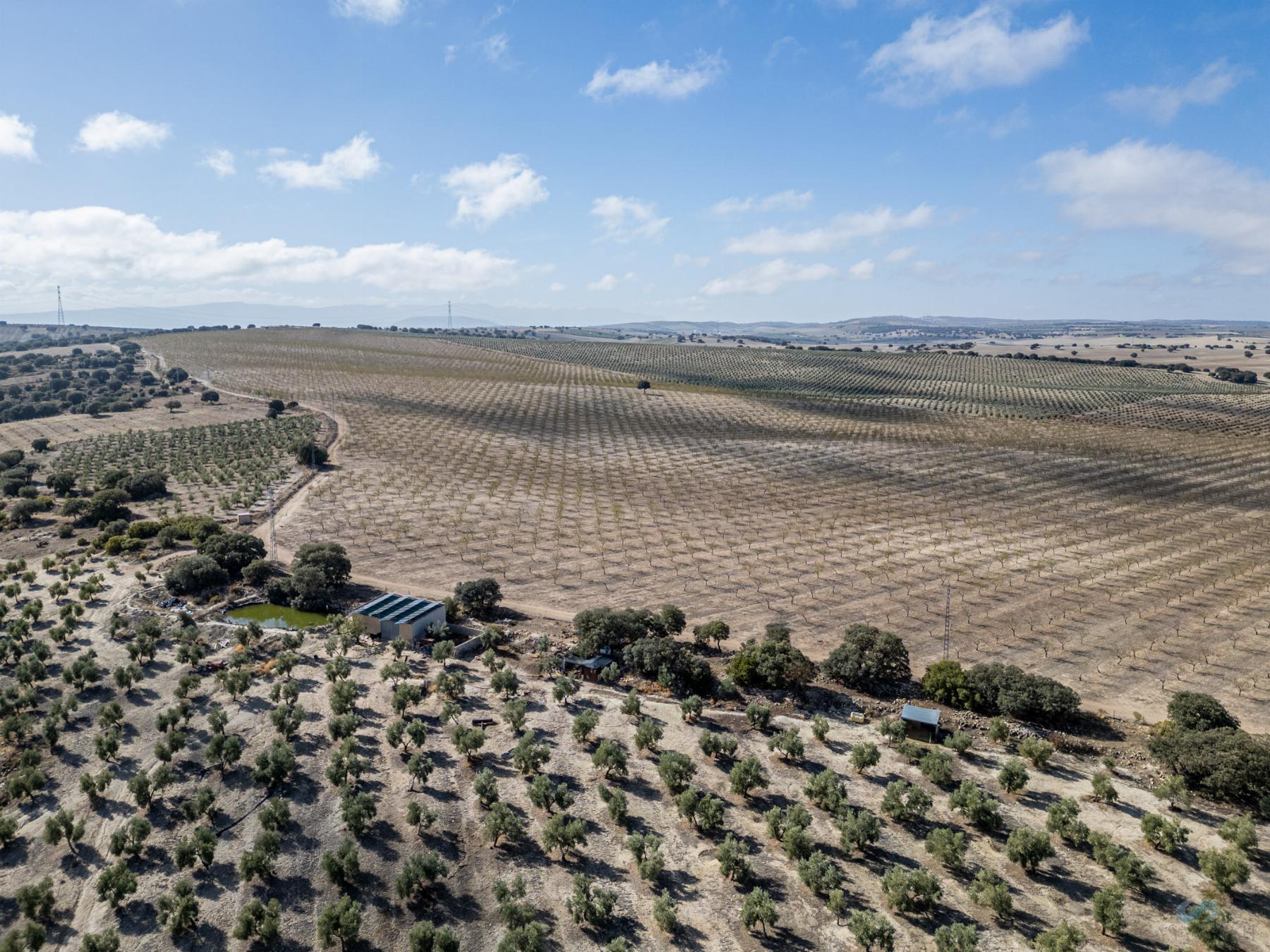 For sale of rural property in Alamedilla