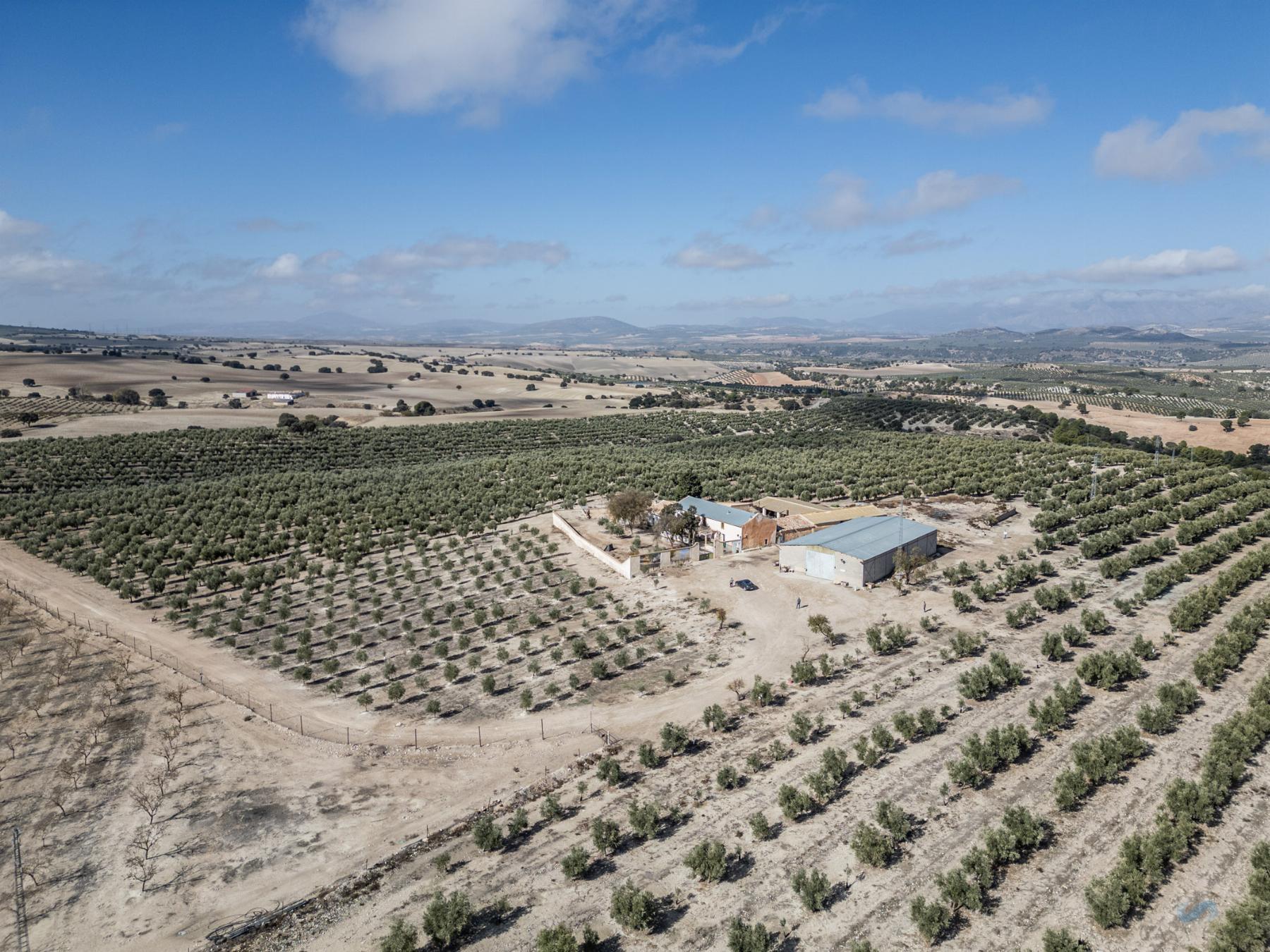 For sale of rural property in Alamedilla