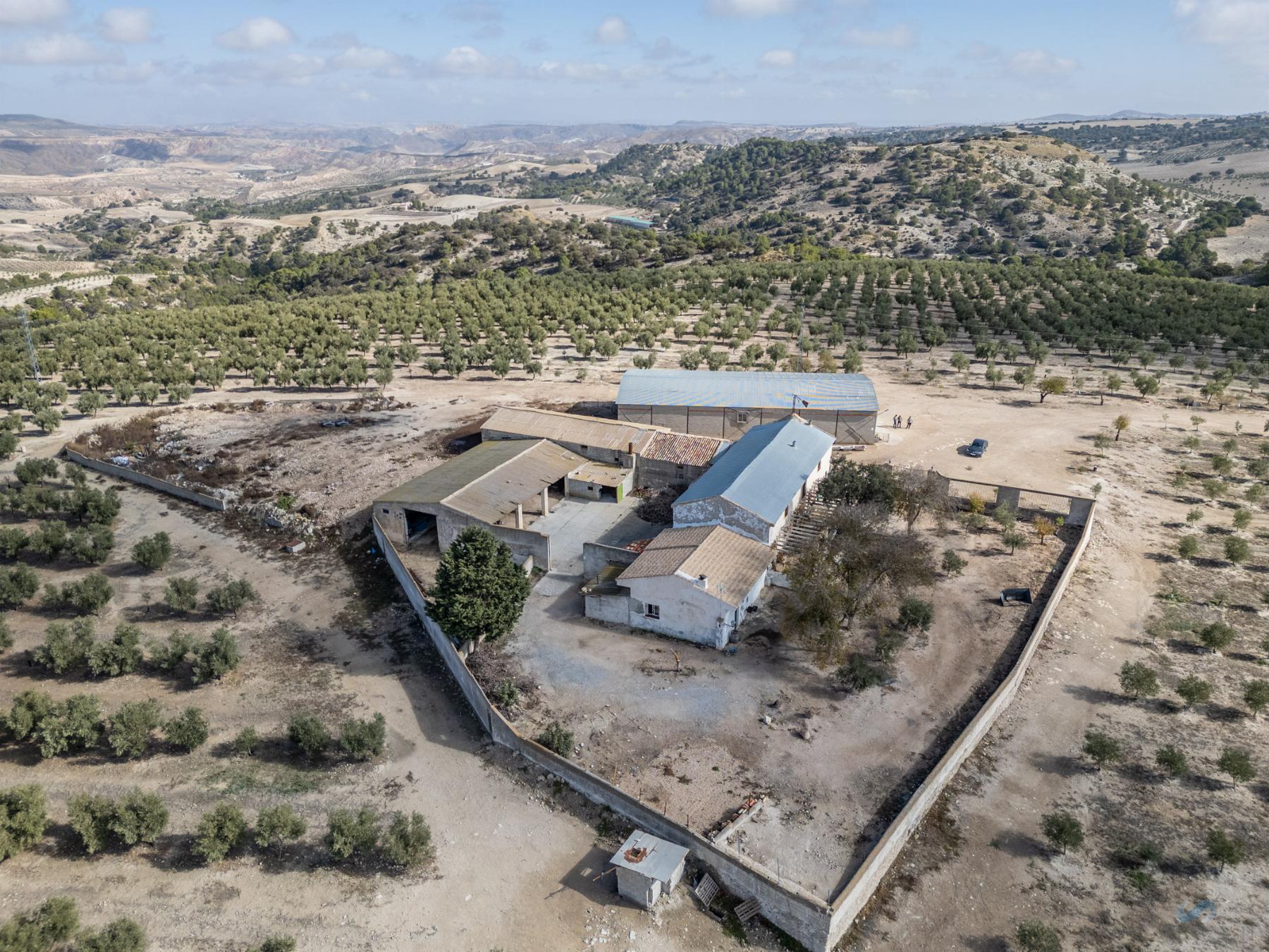 For sale of rural property in Alamedilla