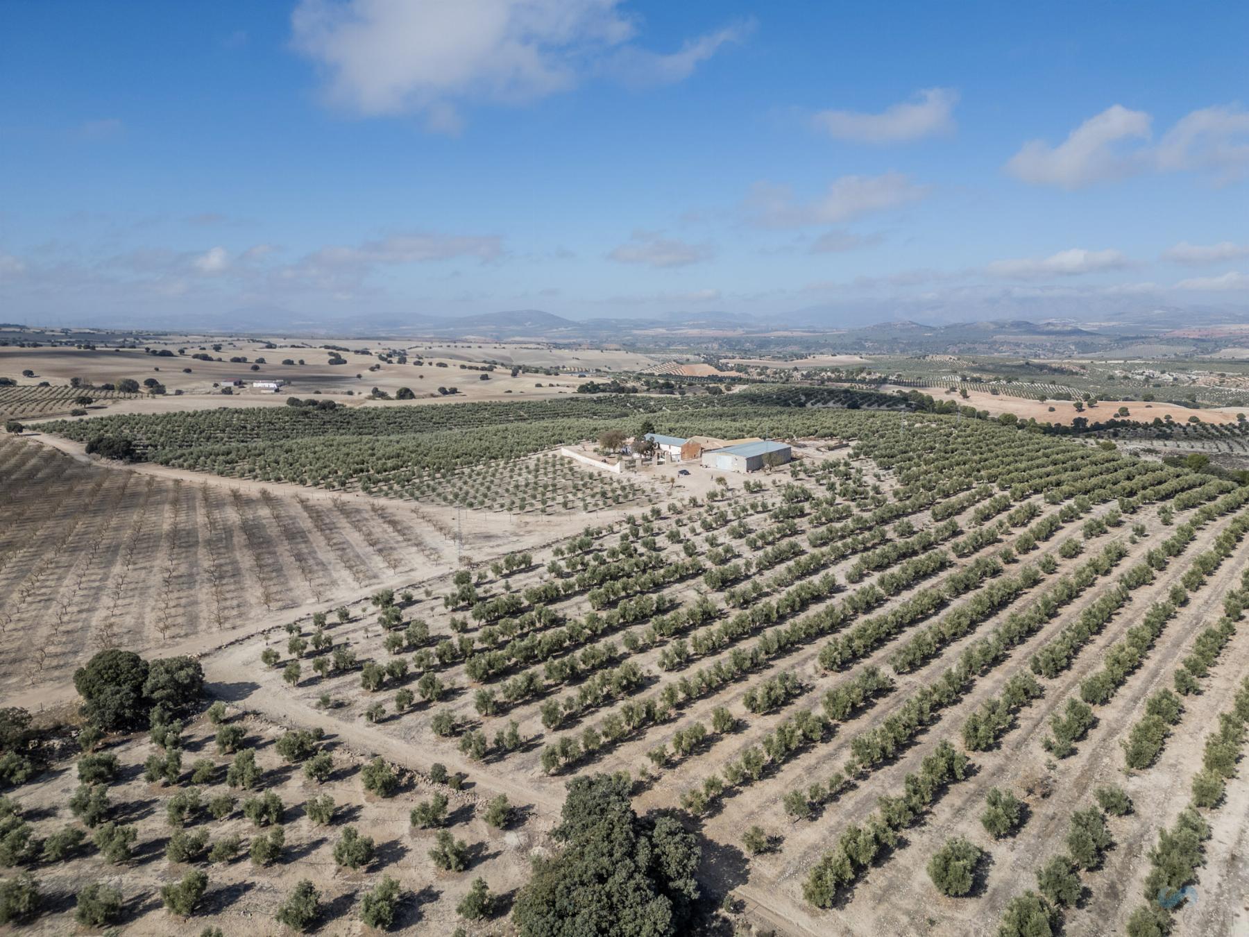 For sale of rural property in Alamedilla