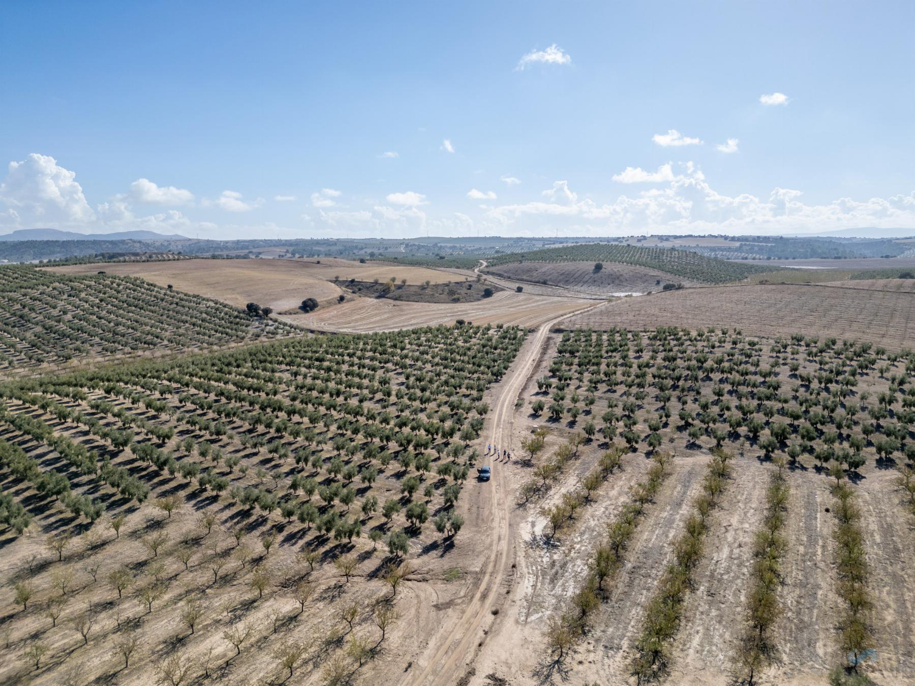 For sale of rural property in Alamedilla