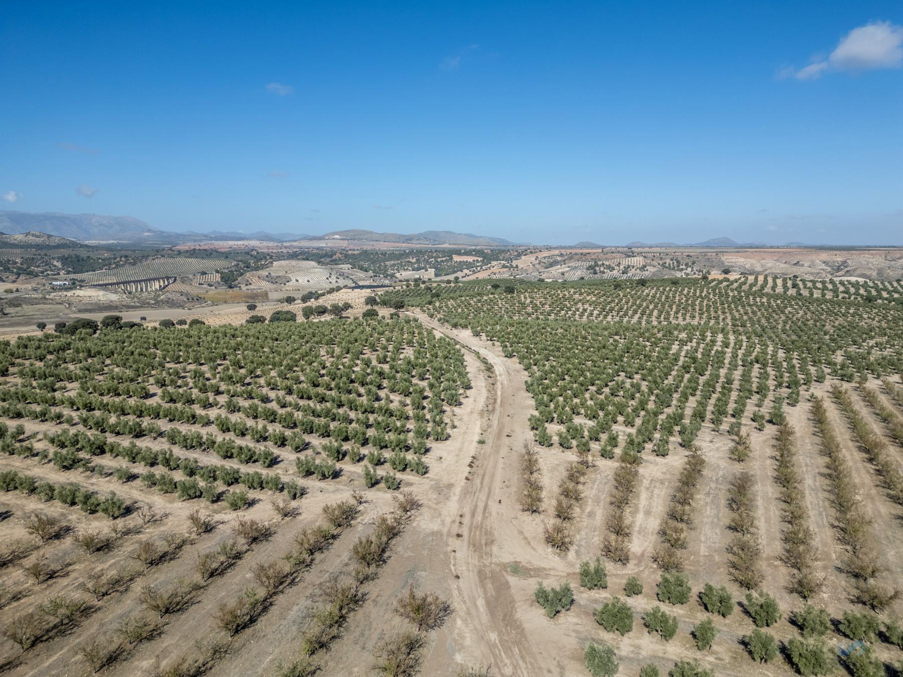 For sale of rural property in Alamedilla