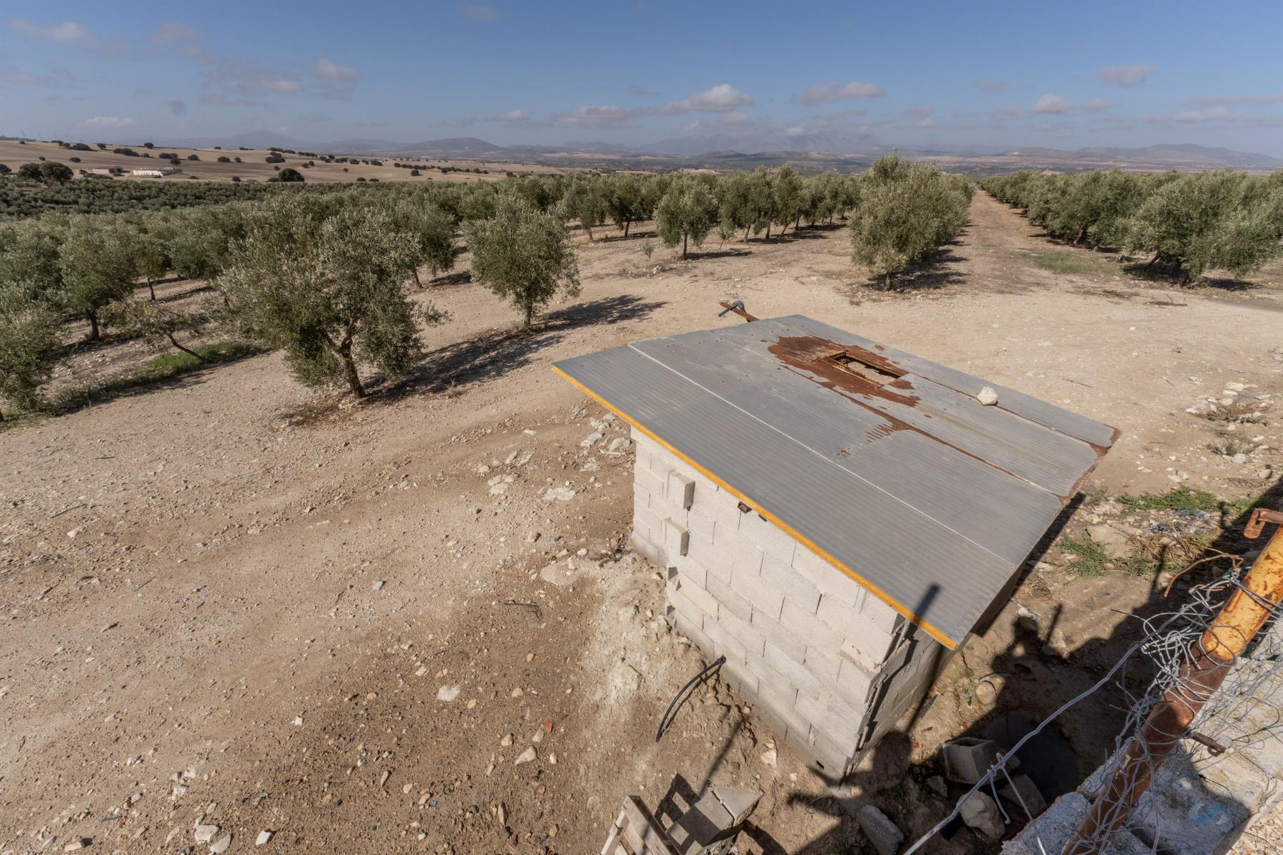 For sale of rural property in Alamedilla