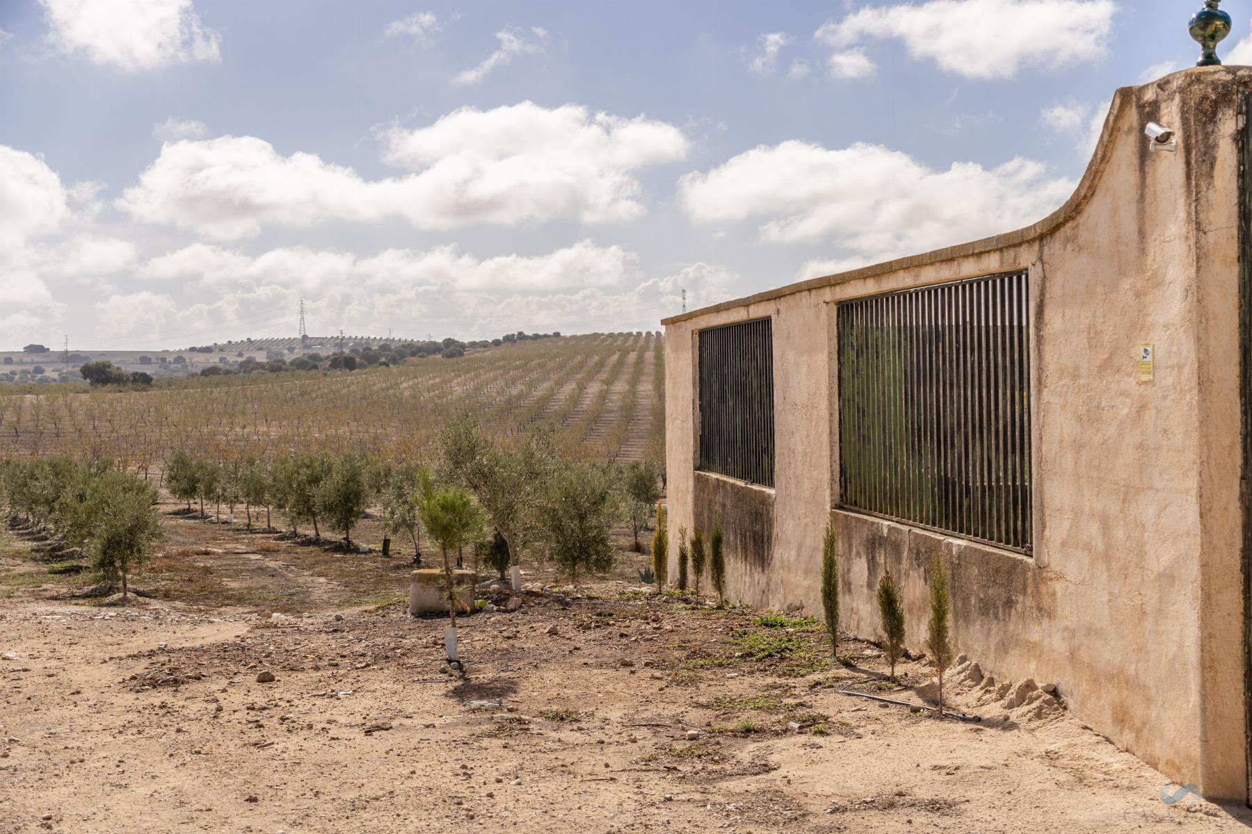 For sale of rural property in Alamedilla