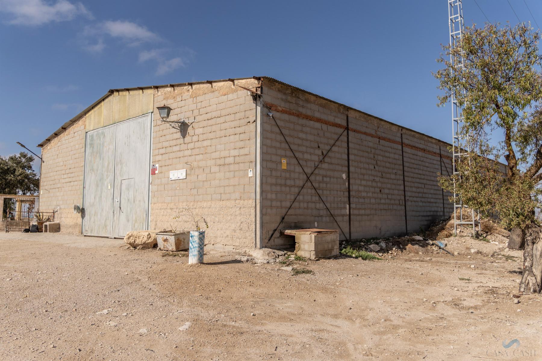 For sale of rural property in Alamedilla