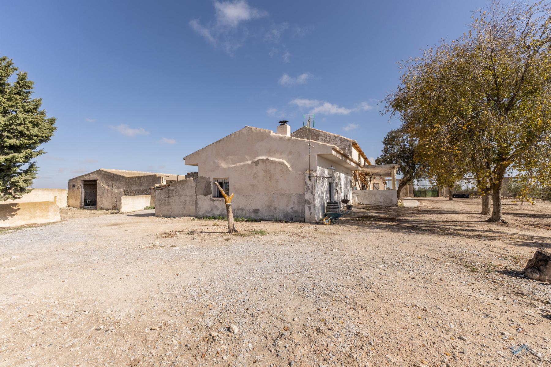 For sale of rural property in Alamedilla